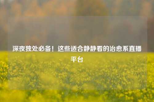 深夜独处必备！这些适合静静看的治愈系直播平台