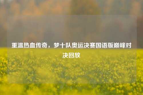 重温热血传奇,梦十队奥运决赛国语版巅峰对决回放