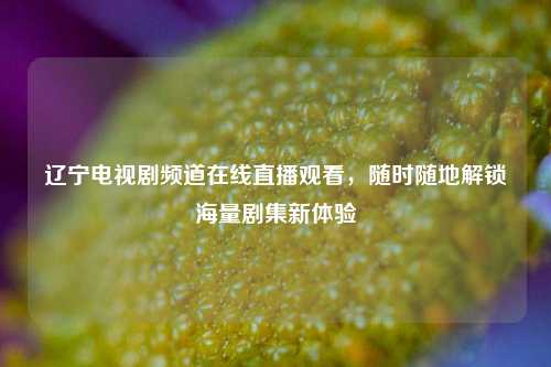 辽宁电视剧频道在线直播观看,随时随地解锁海量剧集新体验