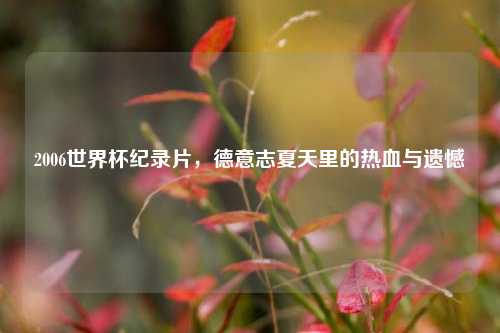 2006世界杯纪录片，德意志夏天里的热血与遗憾