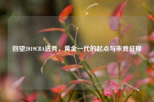 回望2019CBA选秀，黄金一代的起点与未竟征程