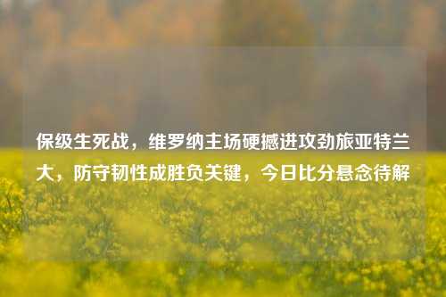 保级生死战,维罗纳主场硬撼进攻劲旅亚特兰大,防守韧性成胜负关键,今日比分悬念待解