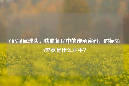CBA冠军球队,铁血征程中的传承密码,对标NBA究竟是什么水平?