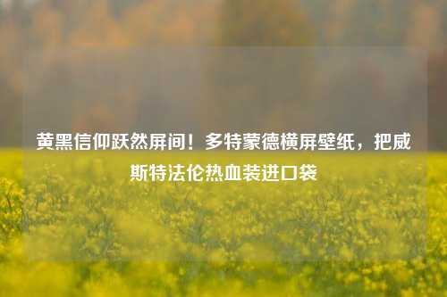 黄黑信仰跃然屏间!多特蒙德横屏壁纸,把威斯特法伦热血装进口袋