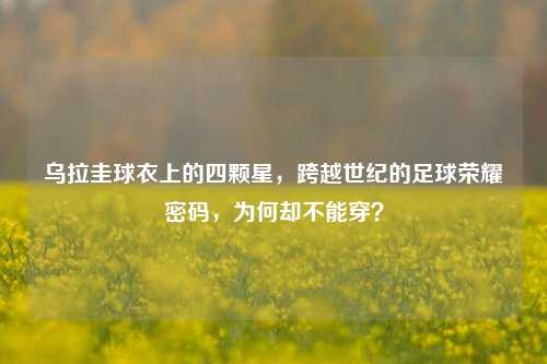 乌拉圭球衣上的四颗星,跨越世纪的足球荣耀密码,为何却不能穿?