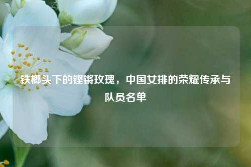 铁榔头下的铿锵玫瑰，中国女排的荣耀传承与队员名单