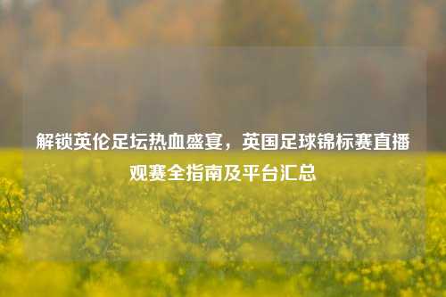 解锁英伦足坛热血盛宴,英国足球锦标赛直播观赛全指南及平台汇总