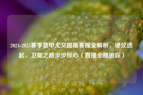 2024-2025赛季意甲尤文图斯赛程全解析,硬仗迭起,卫冕之路步步惊心(直播全程追踪)