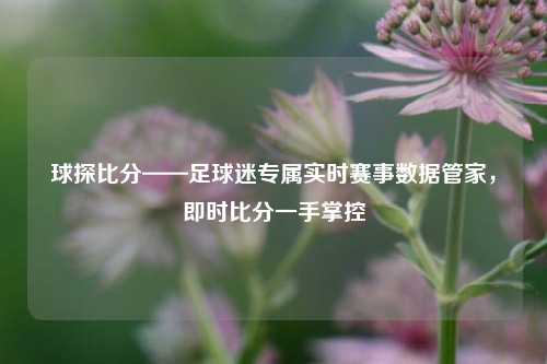 球探比分——足球迷专属实时赛事数据管家，即时比分一手掌控