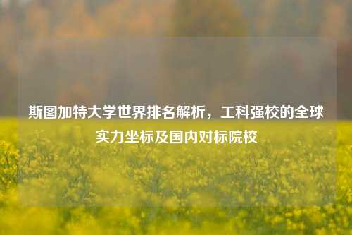 斯图加特大学世界排名解析,工科强校的全球实力坐标及国内对标院校