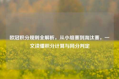 欧冠积分规则全解析,从小组赛到淘汰赛,一文读懂积分计算与同分判定