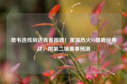詹韦连线刻进青春图腾!重温热火VS雄鹿经典战,附第二场赛事预测