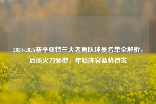 2024-2025赛季亚特兰大老鹰队球员名单全解析,后场火力领衔,年轻阵容蓄势待发