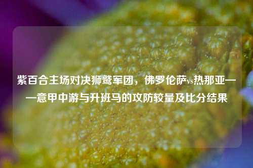 紫百合主场对决狮鹫军团,佛罗伦萨vs热那亚——意甲中游与升班马的攻防较量及比分结果
