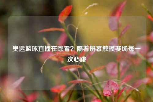 奥运篮球直播在哪看?隔着屏幕触摸赛场每一次心跳