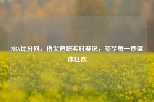 NBA比分网,指尖追踪实时赛况,畅享每一秒篮球狂欢