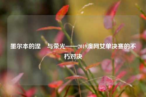 墨尔本的涅槃与荣光——2019澳网女单决赛的不朽对决