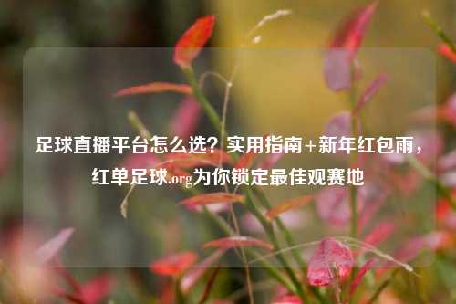 足球直播平台怎么选?实用指南+新年红包雨,红单足球.org为你锁定最佳观赛地