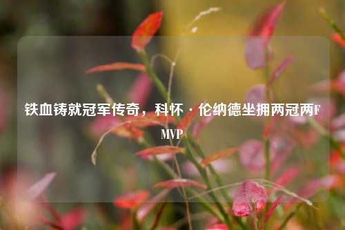 铁血铸就冠军传奇,科怀·伦纳德坐拥两冠两FMVP