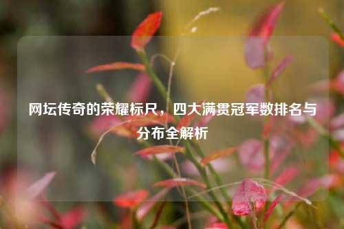 网坛传奇的荣耀标尺，四大满贯冠军数排名与分布全解析