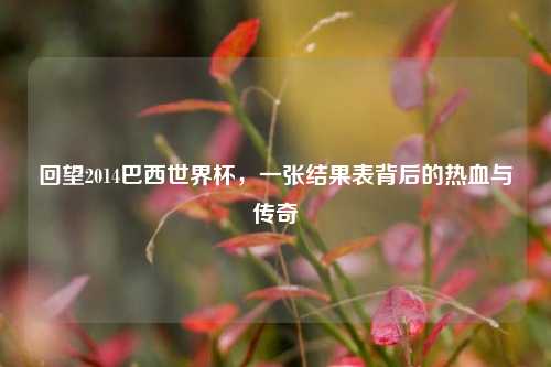 回望2014巴西世界杯，一张结果表背后的热血与传奇