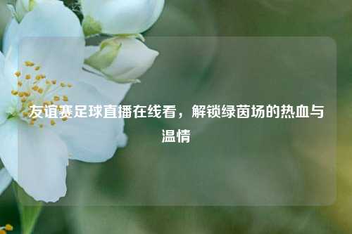 友谊赛足球直播在线看,解锁绿茵场的热血与温情