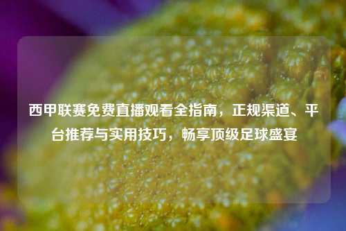 西甲联赛免费直播观看全指南,正规渠道、平台推荐与实用技巧,畅享顶级足球盛宴