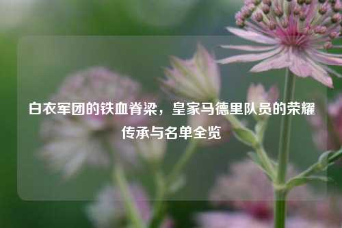 白衣军团的铁血脊梁，皇家马德里队员的荣耀传承与名单全览