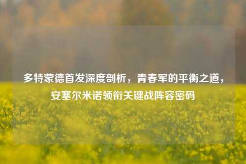 多特蒙德首发深度剖析,青春军的平衡之道,安塞尔米诺领衔关键战阵容密码