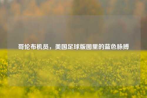 哥伦布机员,美国足球版图里的蓝色脉搏