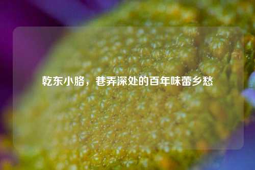 乾东小胳,巷弄深处的百年味蕾乡愁