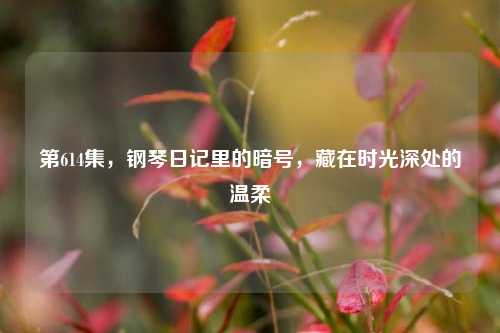 第614集,钢琴日记里的暗号,藏在时光深处的温柔