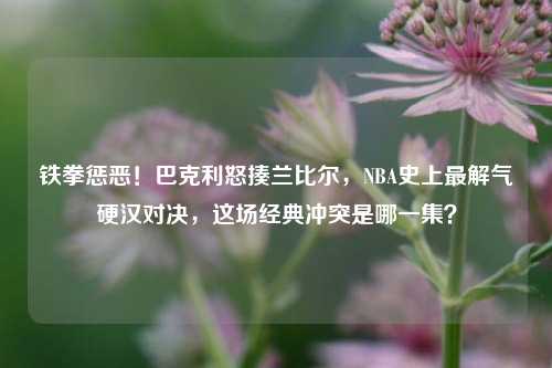 铁拳惩恶！巴克利怒揍兰比尔，NBA史上最解气硬汉对决，这场经典冲突是哪一集？
