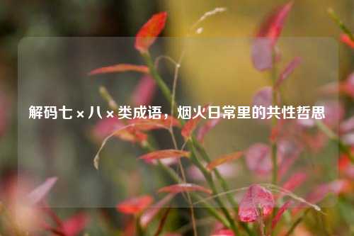 解码七×八×类成语,烟火日常里的共性哲思