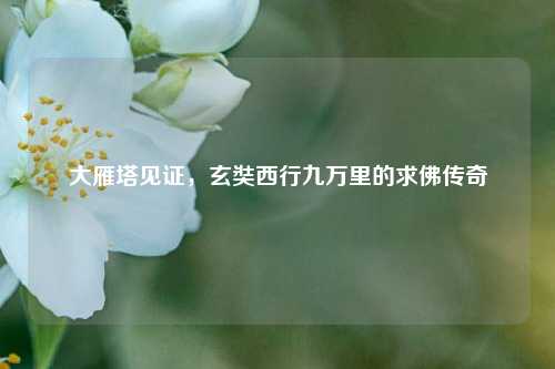 大雁塔见证,玄奘西行九万里的求佛传奇