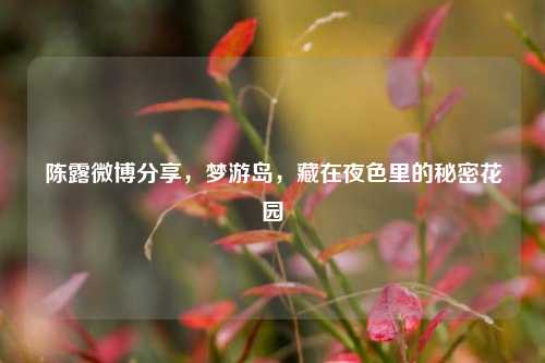 陈露微博分享，梦游岛，藏在夜色里的秘密花园