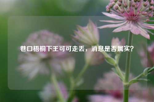 巷口梧桐下王可可走丢，消息是否属实？