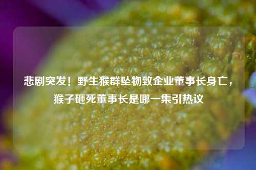 悲剧突发!野生猴群坠物致企业董事长身亡,猴子砸死董事长是哪一集引热议
