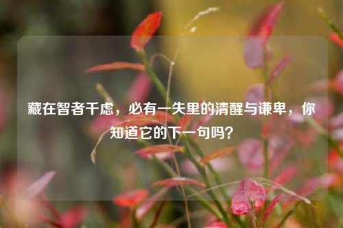 藏在智者千虑,必有一失里的清醒与谦卑,你知道它的下一句吗?