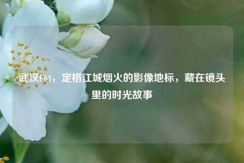 武汉F64,定格江城烟火的影像地标,藏在镜头里的时光故事
