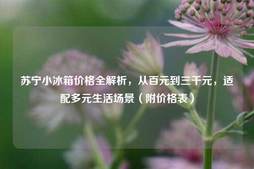 苏宁小冰箱价格全解析，从百元到三千元，适配多元生活场景（附价格表）