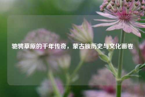 驰骋草原的千年传奇,蒙古族历史与文化画卷