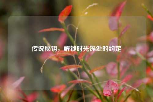 传说秘钥，解锁时光深处的约定