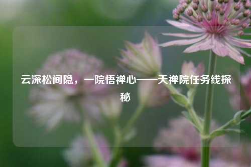 云深松间隐，一院悟禅心——天禅院任务线探秘