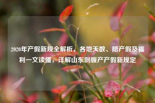 2020年产假新规全解析，各地天数、陪产假及福利一文读懂，详解山东剖腹产产假新规定
