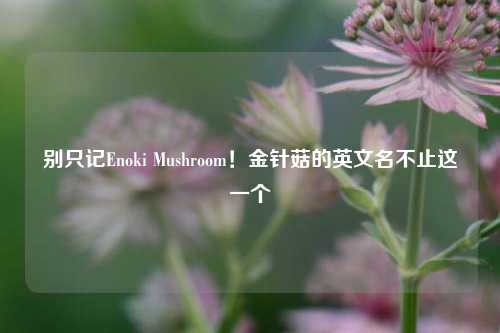 别只记Enoki Mushroom!金针菇的英文名不止这一个
