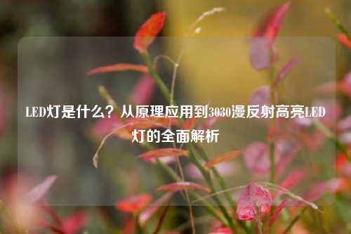 LED灯是什么?从原理应用到3030漫反射高亮LED灯的全面解析