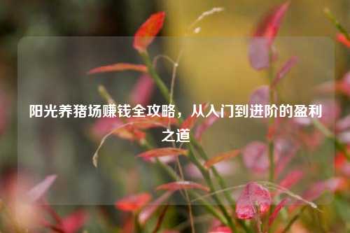阳光养猪场赚钱全攻略，从入门到进阶的盈利之道