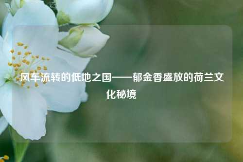 风车流转的低地之国——郁金香盛放的荷兰文化秘境
