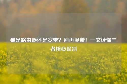 猫是路由器还是宽带?别再混淆!一文读懂三者核心区别